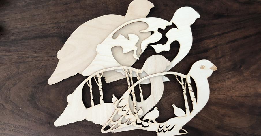 Jumbo Ptarmigan image 1